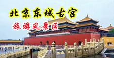巨乳黑丝美女调教屁眼中国北京-东城古宫旅游风景区
